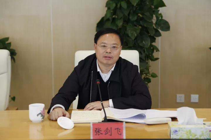 湖南張劍飛最新動態(tài)揭秘
