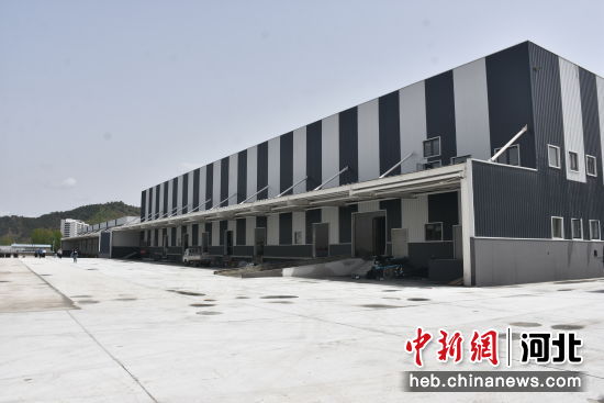 青龍物流園最新動態(tài)，重磅更新引領(lǐng)物流行業(yè)邁入新篇章！