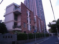 上海新梅最新進(jìn)展，梅樹下的溫馨日常