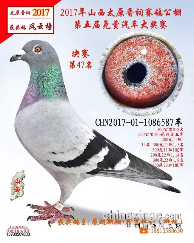 晉祠公棚最新動態(tài)揭秘，重磅更新消息??