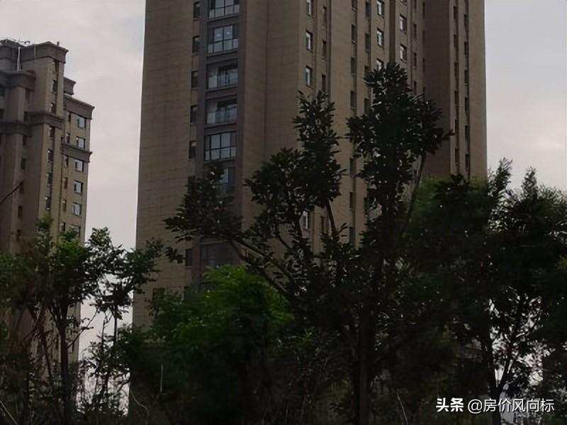 兗州房?jī)r(jià)最新動(dòng)態(tài)與小巷深處的寶藏小店揭秘