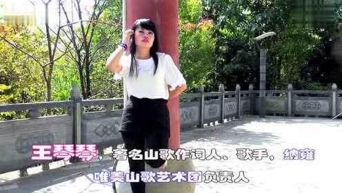 納雍山歌王琴們唱最新片,納雍山歌王琴們唱最新片，傳統(tǒng)之聲的嶄新演繹