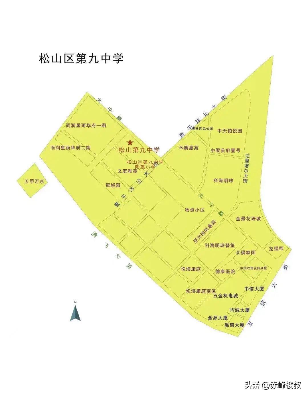 科海明珠最新動(dòng)態(tài)揭秘，小巷中的隱藏寶藏！