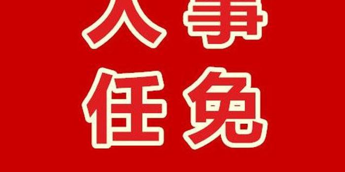 襄陽市人事變革引領(lǐng)新篇章，最新任免引領(lǐng)時(shí)代風(fēng)向標(biāo)