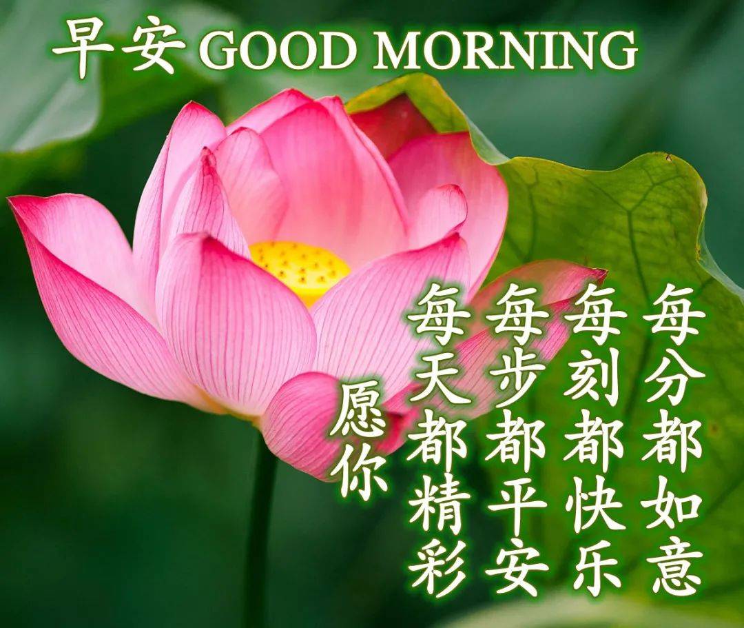 最新早安問候圖片帶字，探索自然美景之旅，尋找內(nèi)心平靜之道