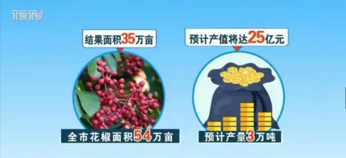 天水花椒價(jià)格最新動態(tài)及趨勢分析
