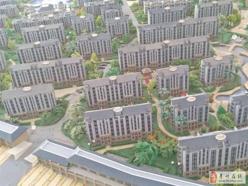 青州旭馨園最新動態(tài),青州旭馨園最新動態(tài)步驟指南（適合初學(xué)者與進(jìn)階用戶）