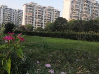 民佳家園最新情況,民佳家園最新情況，變化中的學(xué)習(xí)力量，自信與成就感的源泉