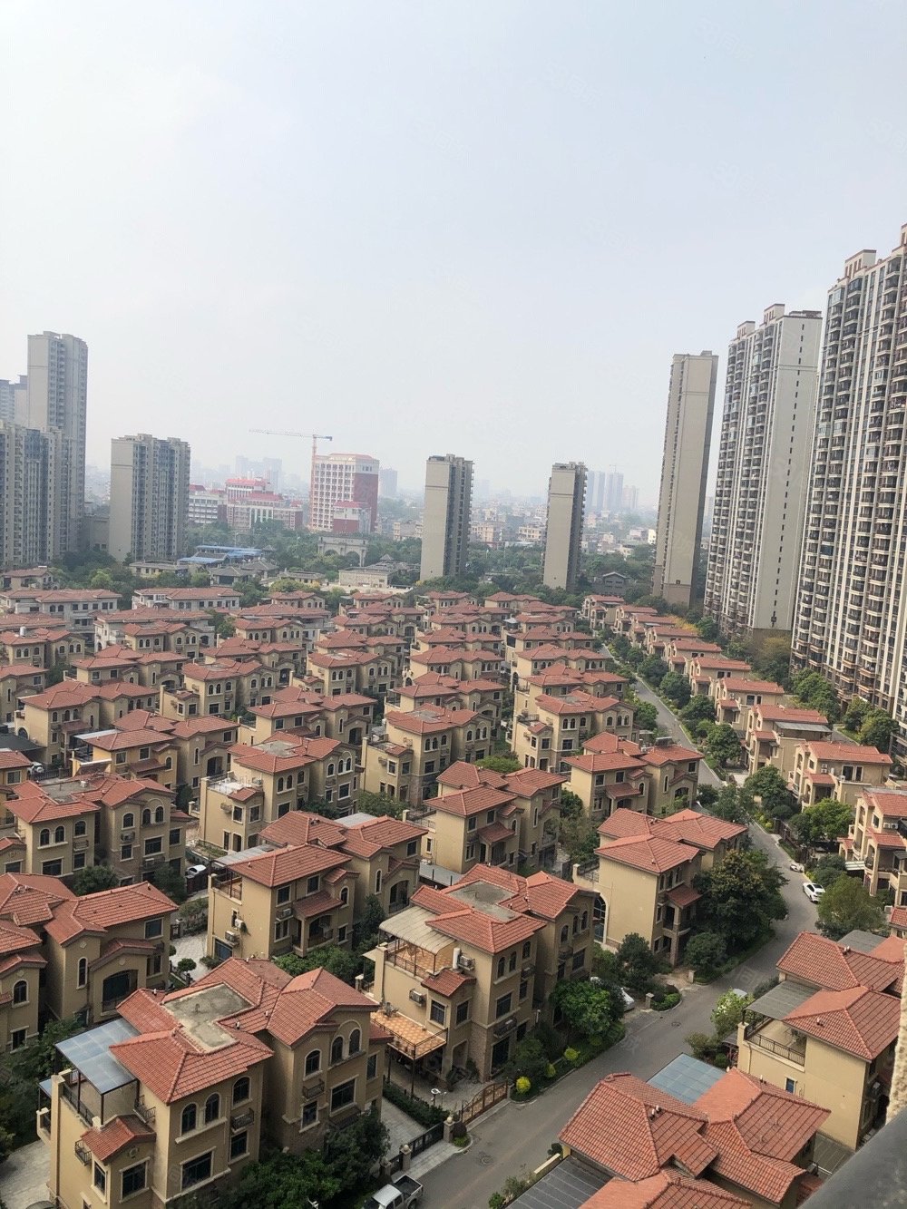 玉林碧桂園最新房價揭秘，溫馨家園之旅與奇妙故事探秘