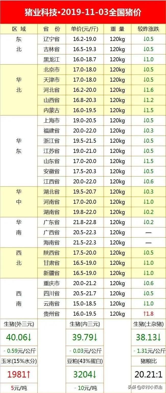 今日生豬價預(yù)測走勢及溫馨日常故事揭秘