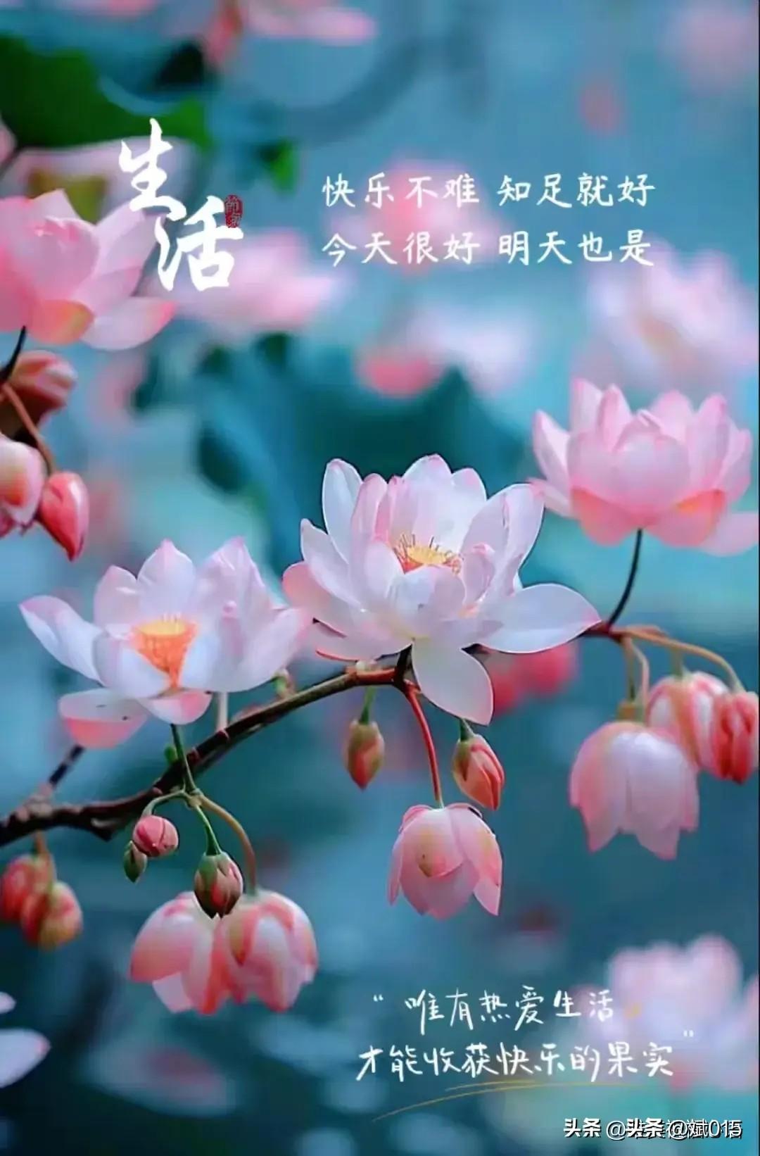 2024最新微商早安心語，觀點(diǎn)論述與深度解析