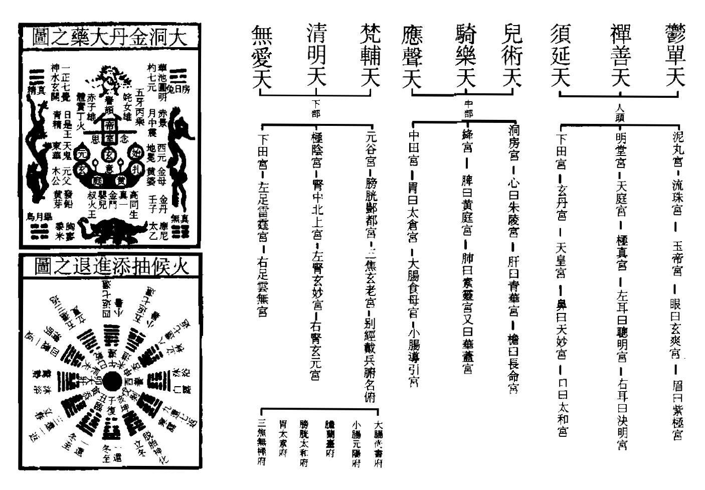 南天經(jīng)源最新消息詳解，步驟指南與動態(tài)更新