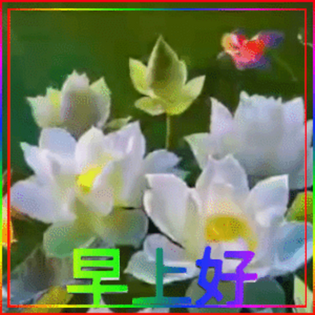 最新早上好動態(tài)表情集錦