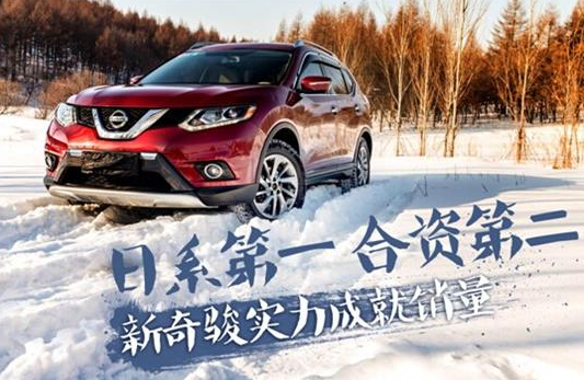 2024新奇俊最新動(dòng)態(tài)揭秘，溫馨伙伴日與奇妙故事分享