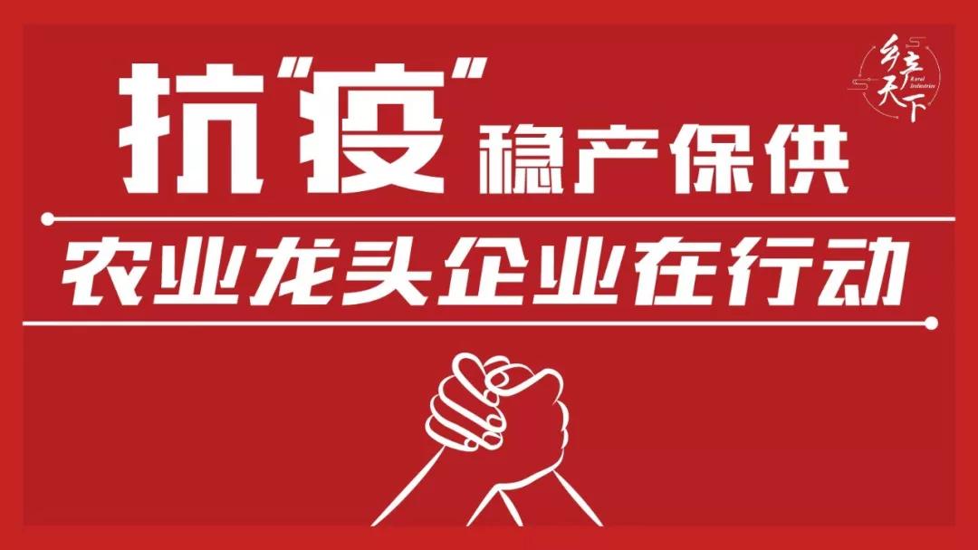 慶安最新疫情,慶安最新疫情，實(shí)時動態(tài)與防控措施