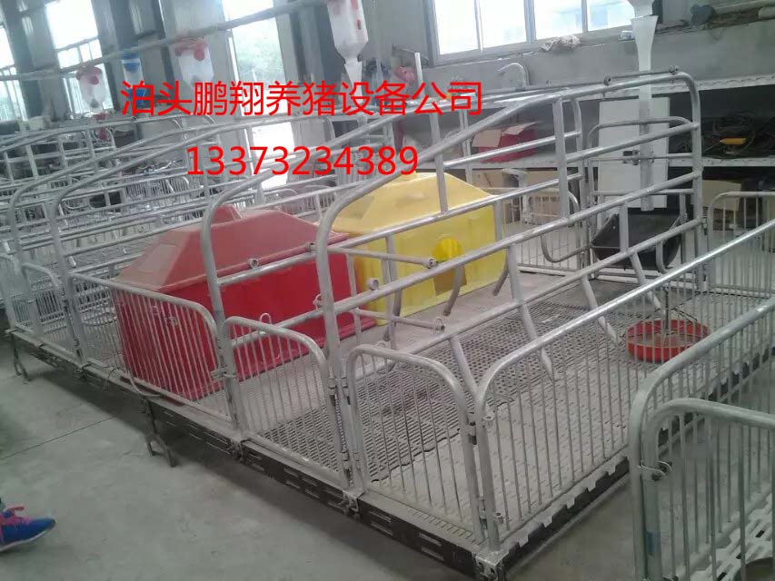 養(yǎng)豬設備最新論述，探討現代養(yǎng)豬設備的最新進展和創(chuàng)新技術