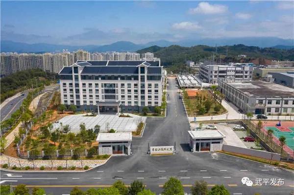 武平最新肺炎疫情，了解、防控與應(yīng)對策略
