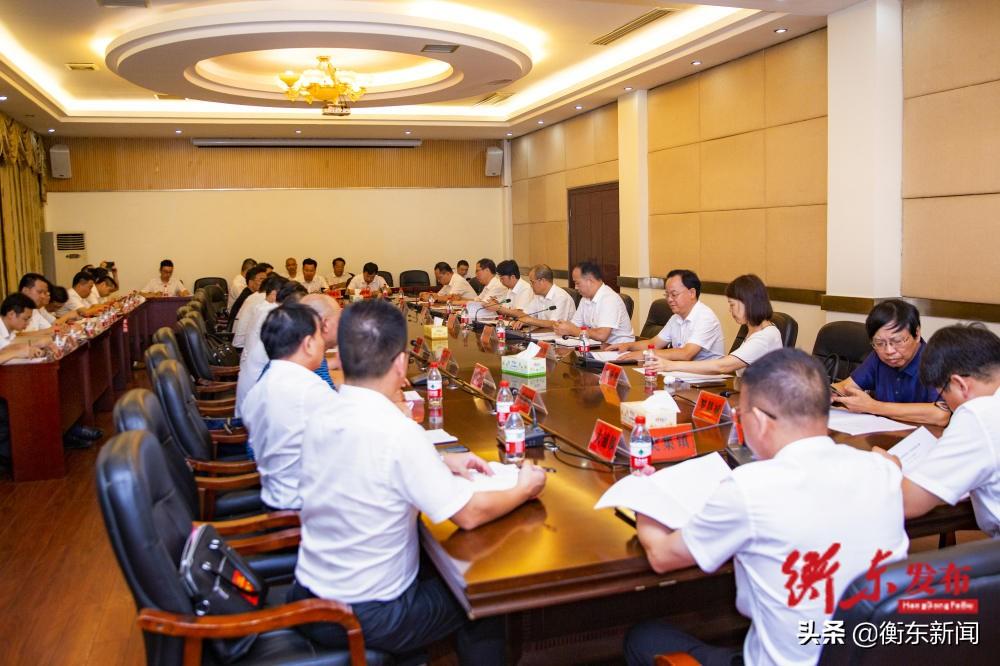 衡東肺炎最新動態(tài)，深度解析與前沿關(guān)注