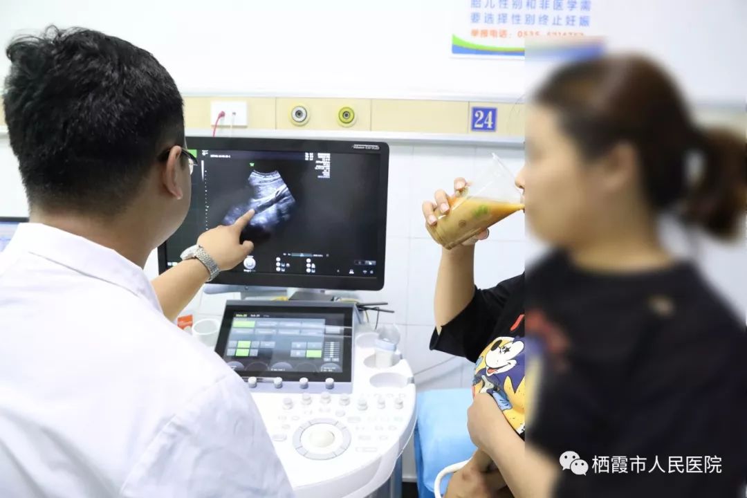 種子的奇幻之旅，最新種子探索與友情的綻放時刻
