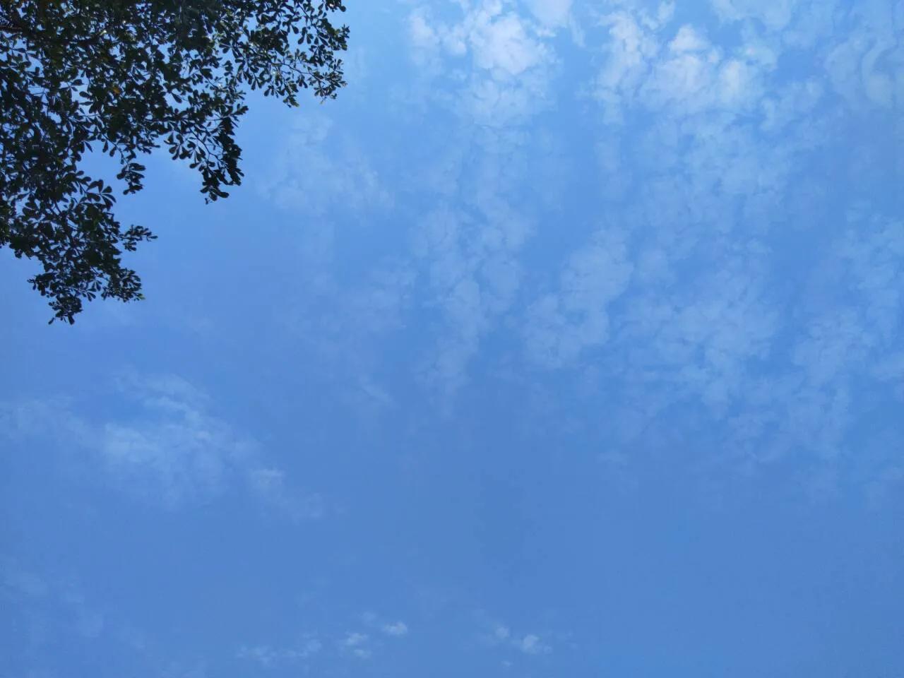 最新溫柔文案,最新溫柔文案，小巷深處的獨特味道