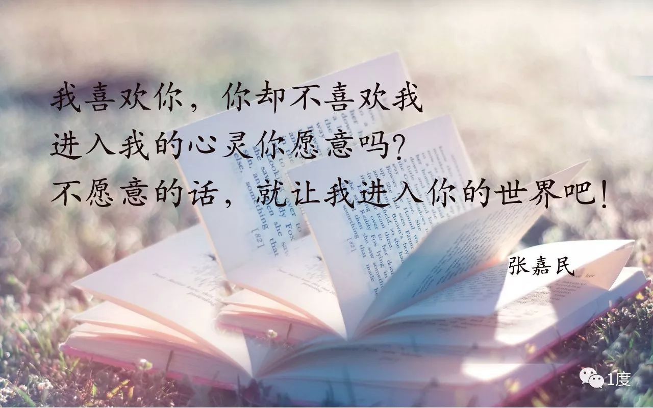 探索知識(shí)與智慧的旅程，我與書的最新篇章