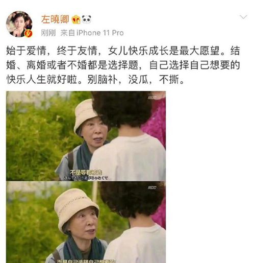 愛情的終極篇章，最新情感發(fā)展回顧