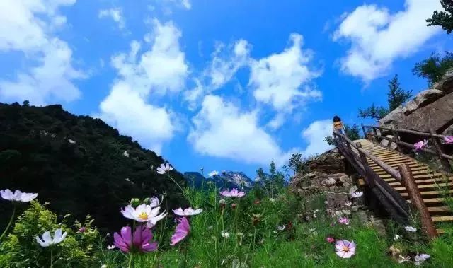 時(shí)代背景下的縣域發(fā)展脈絡(luò)，靈壽新聞最新動(dòng)態(tài)