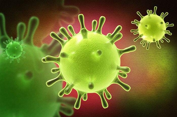 澳洲病毒最新概況更新
