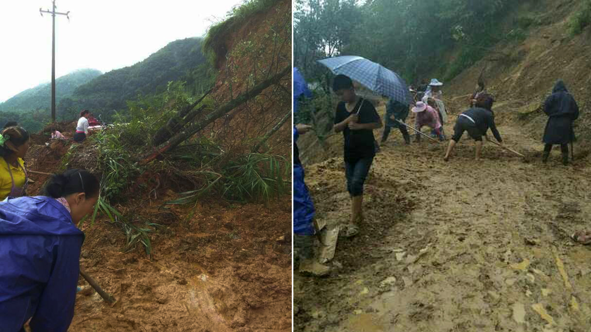 田林最新動態(tài)，探索自然美景之旅，尋找內心平和之地