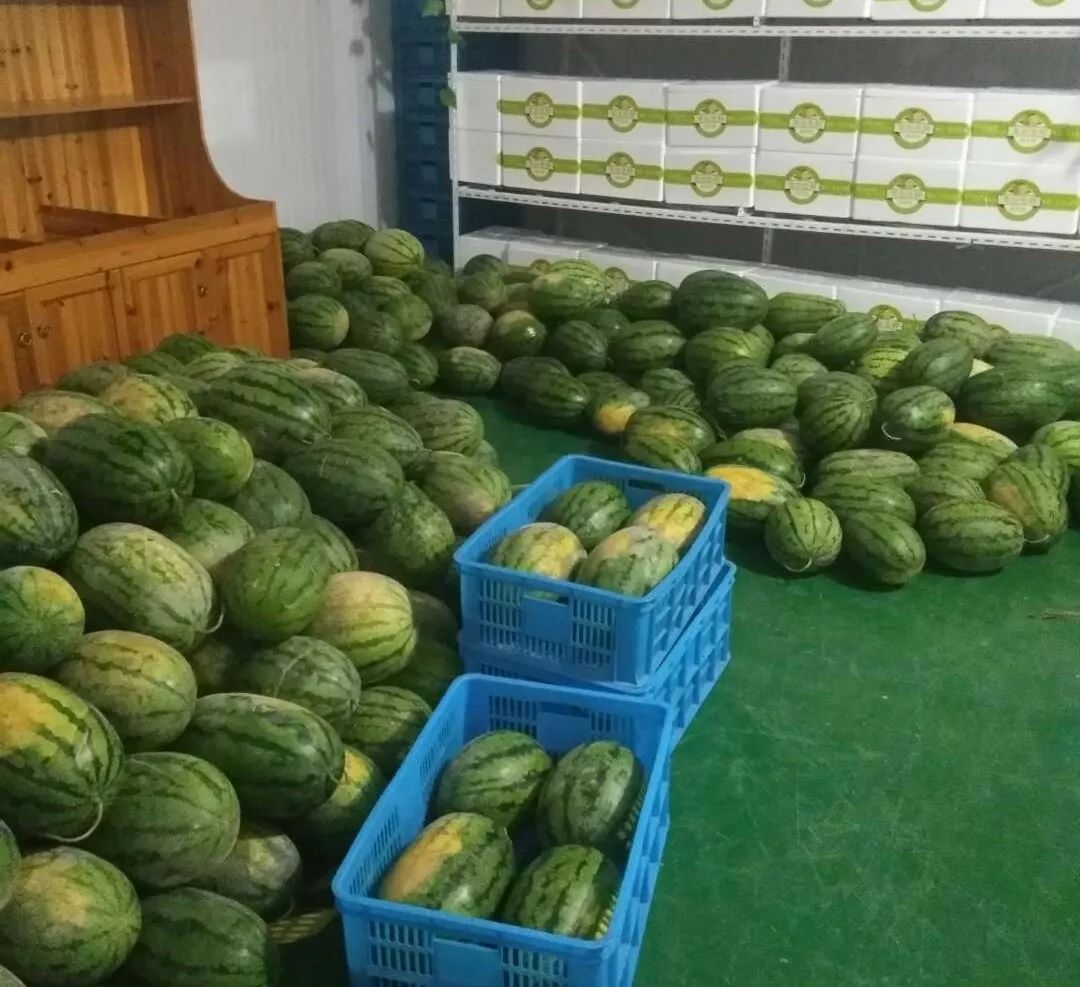 西瓜商城最新版全新體驗(yàn)與特色功能解析揭秘