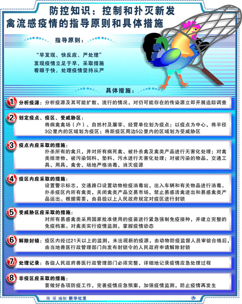 最新疫情防控原則,最新疫情防控原則下的獨(dú)特小巷探秘，一家隱藏版特色小店的魅力之旅