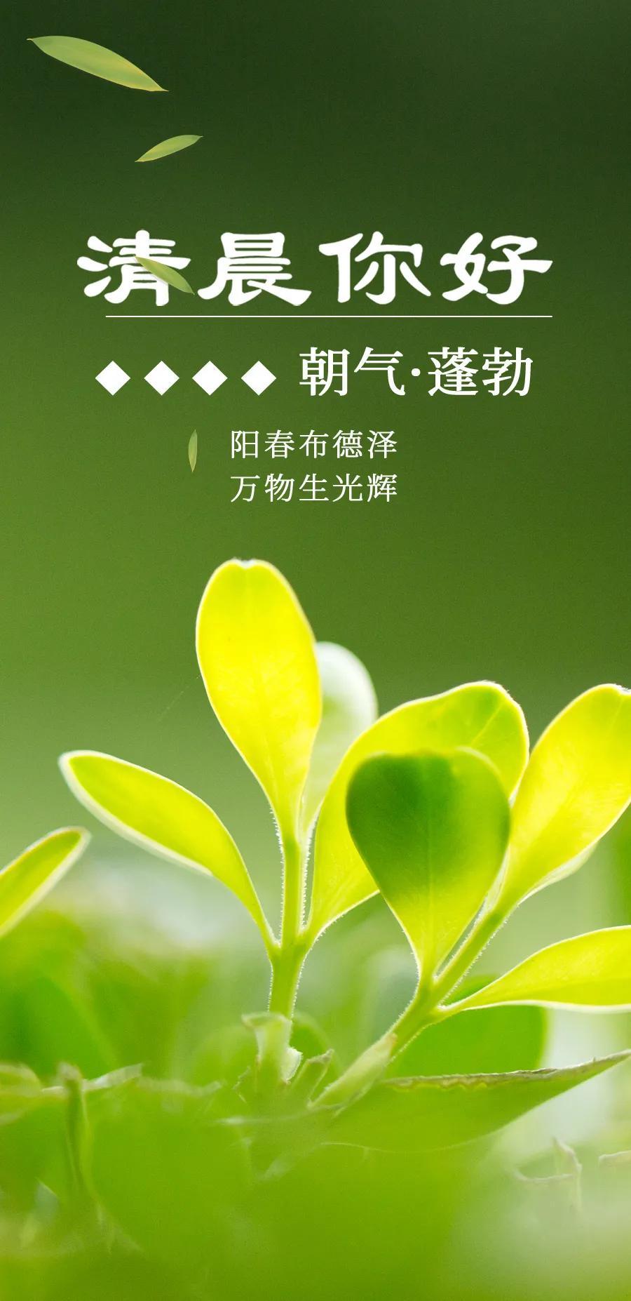自然美景與內(nèi)心寧?kù)o之旅，最新語(yǔ)錄經(jīng)典語(yǔ)錄探索之旅