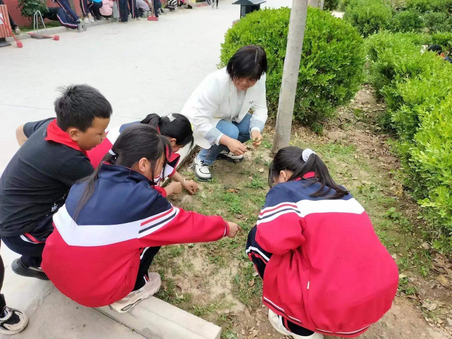 伴心最新版，科技重塑生活，開啟未來之心體驗之旅