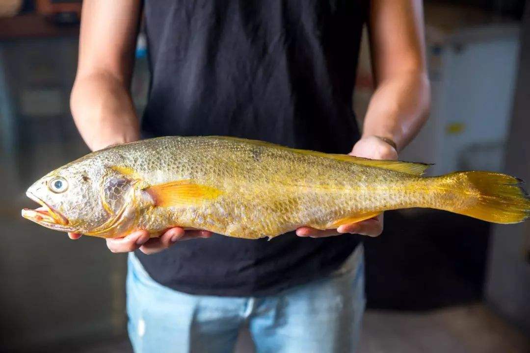 時代變遷下的市場觀察，大黃魚最新價格動態(tài)分析