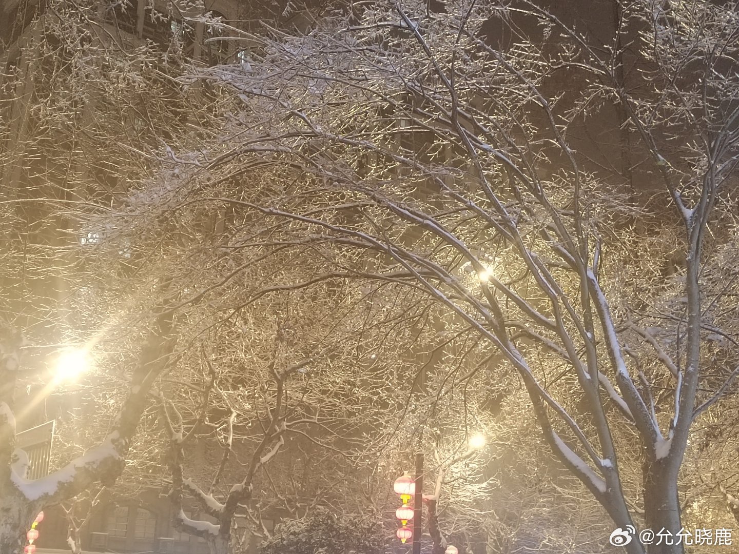 凌冽最新更新，小巷中的隱秘美味探索