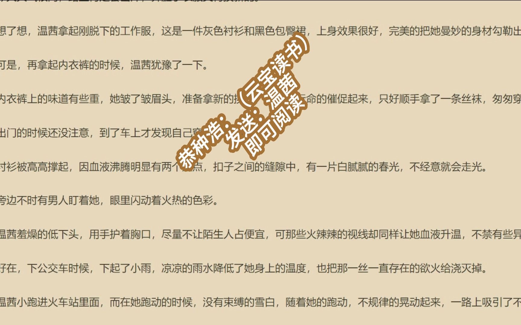 汽車飾品的銷售 第102頁(yè)