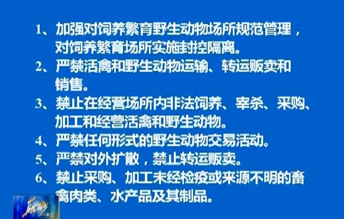 新型疫情肺炎最新動態(tài)及觀點論述