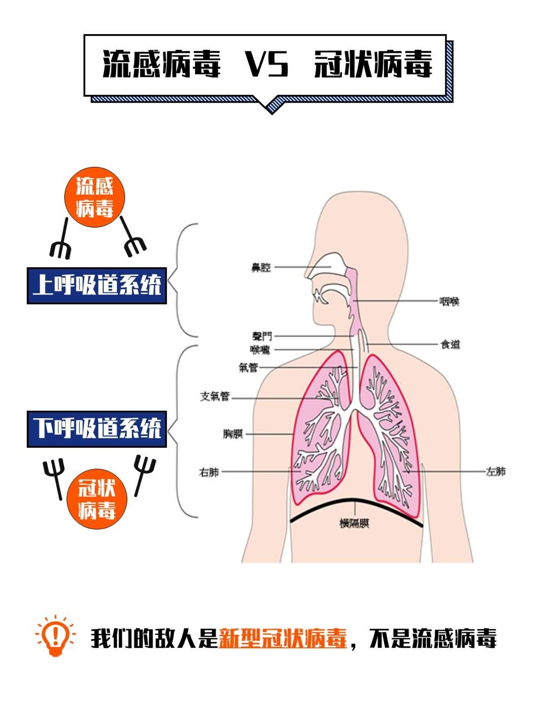 汽車飾品的銷售 第101頁
