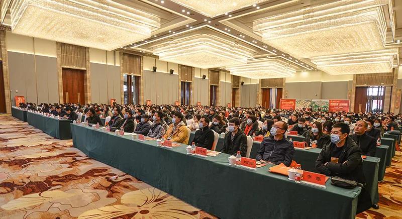 平?jīng)鰳潜P最新出售信息，揭示城市發(fā)展的微觀脈絡(luò)
