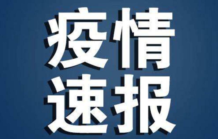 肺疫情炎最新動態(tài),肺疫情炎最新動態(tài)