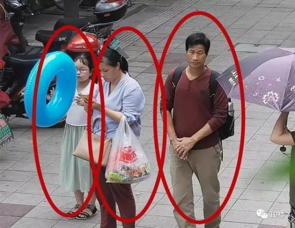 最新租客，心靈與自然的奇妙旅程