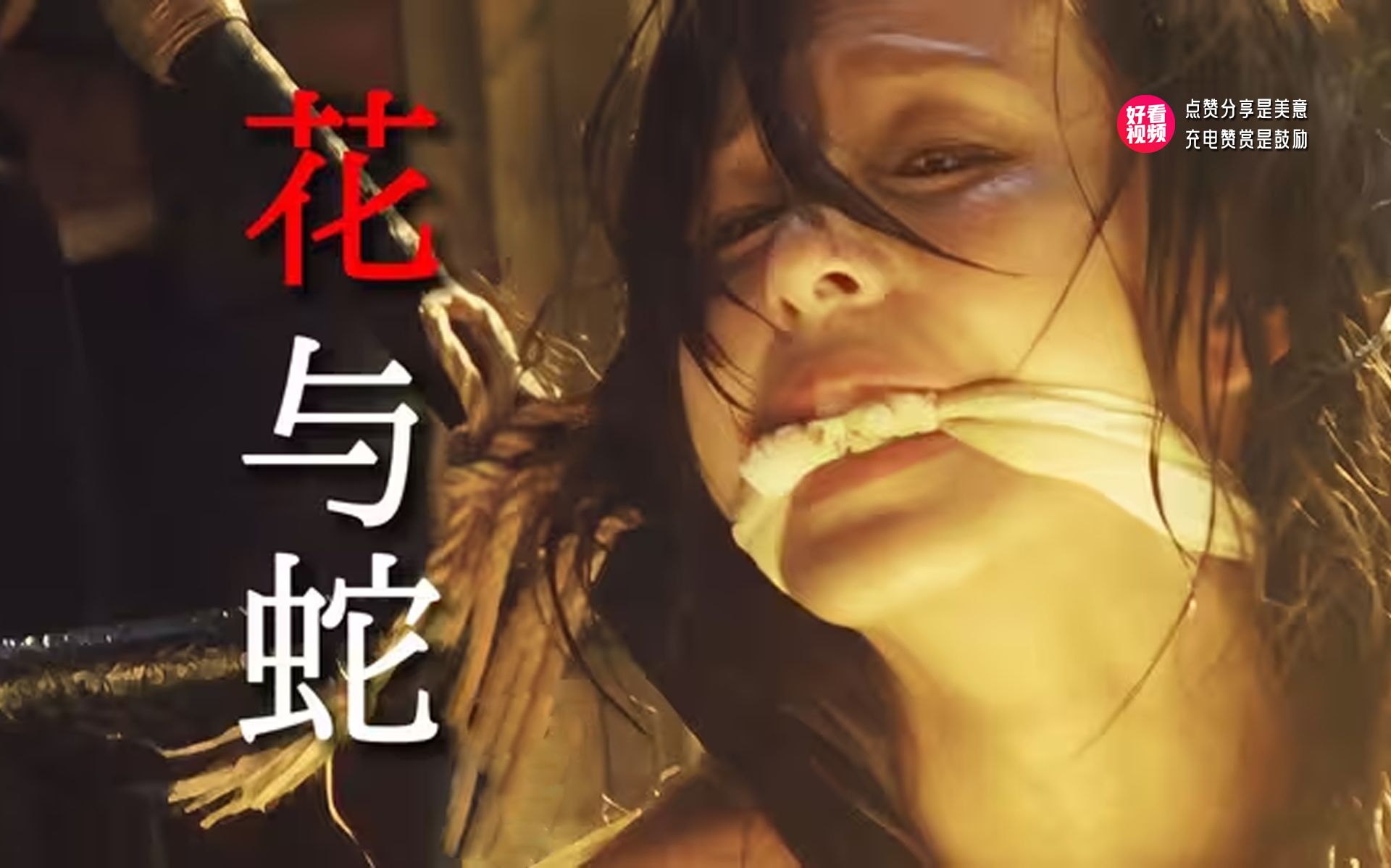 小巷深處的花與蛇電影2，獨(dú)特觀影體驗(yàn)