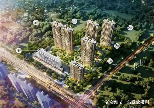 寶華萬都東樾最新房價公布，洞悉市場動態(tài)與趨勢的購房指南