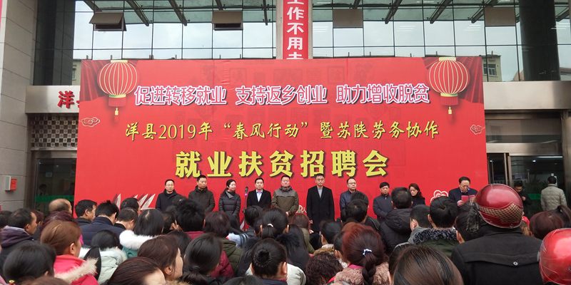 洋縣招聘信息詳解，多元解讀與個人立場分析
