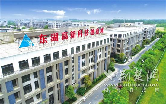 東湖高新最新動態(tài)，巷弄深處的獨特小店探秘