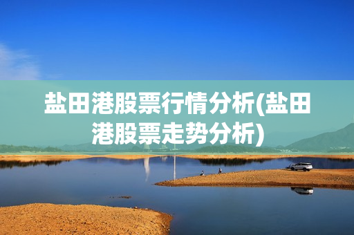 鹽田港股票行情深度解析，港口巨頭背后的股市風(fēng)云揭秘