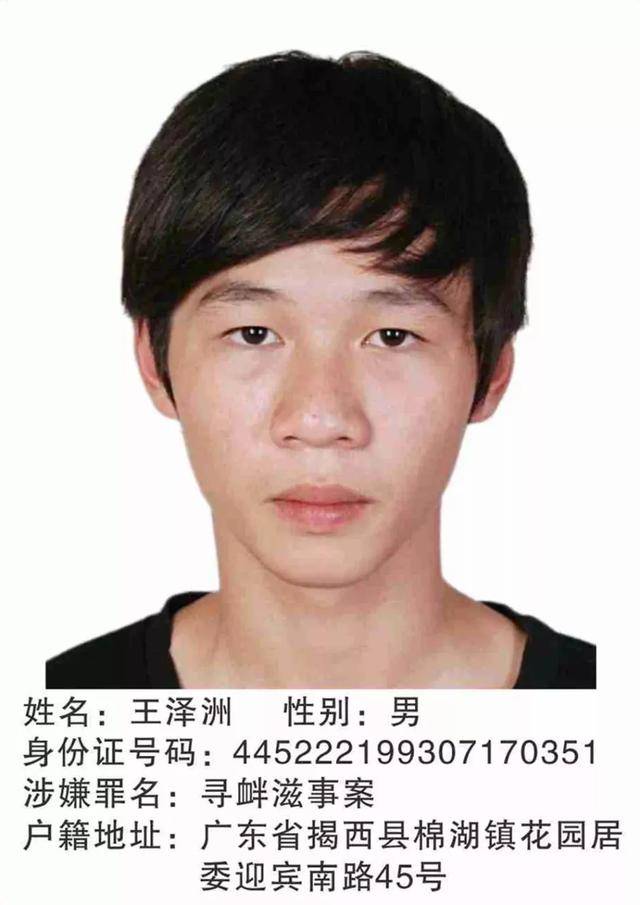 普寧市在逃通緝犯最新動態(tài)揭秘，追捕進(jìn)展迅速！