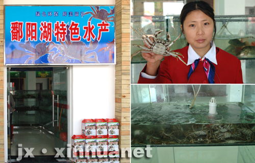 贛粵高速邁向未來，高速公路建設(shè)與創(chuàng)新動態(tài)更新