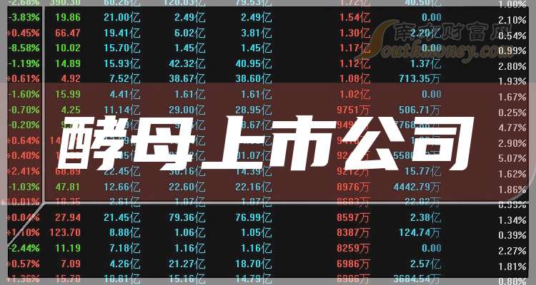 公司上市排名,公司上市排名，一場遠離塵囂的旅行