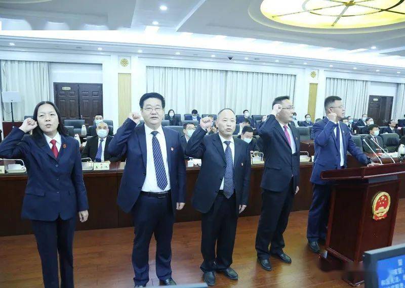 漯河最新任命步驟詳解及指南